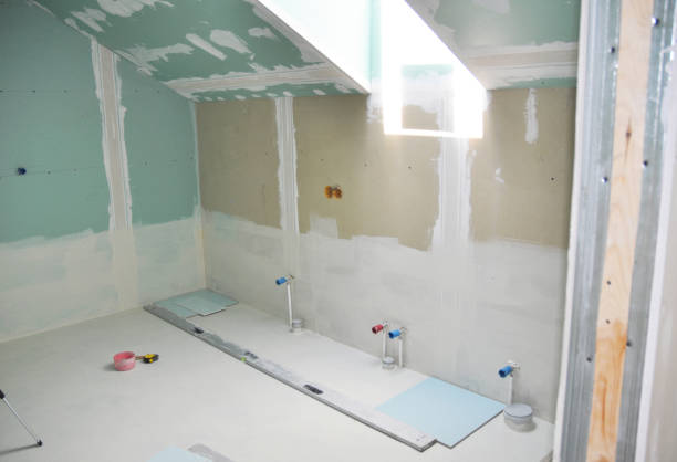 Trusted Apopka, FL Mold Removal Experts