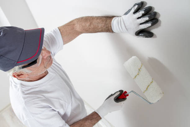Best Residential Mold Inspection & Testing  in Apopka, FL