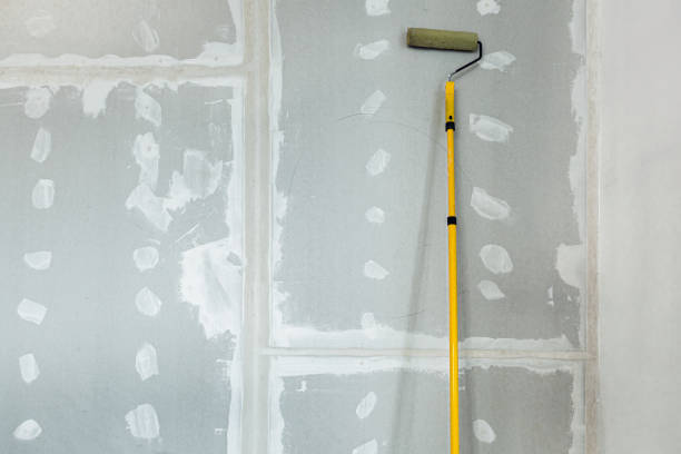  Apopka, FL Mold Removal Pros