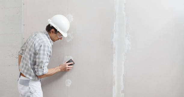 Best Attic Mold Removal  in Apopka, FL