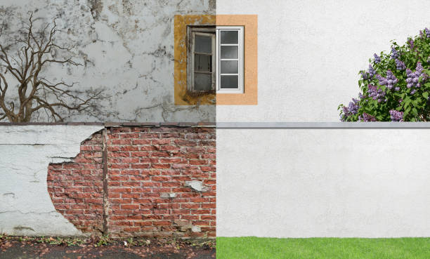 Best Mold Removal for HVAC Installations  in Apopka, FL